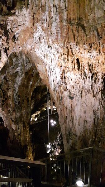 GROTTA_GIGANTE (12).jpg